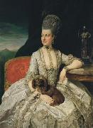 Johann Zoffany Archduchess Maria Christina USA oil painting artist